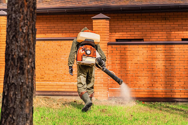 Bed Bug Clearance Verification and Documentation in West Glendive